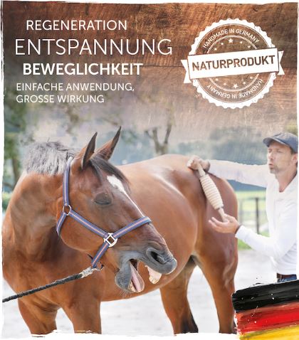 Anwendungs-Leitfaden