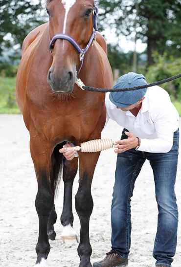 Faszienrollen-Starterset mit "Malou" und "Smilla"