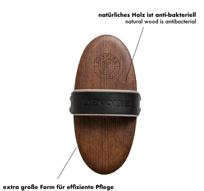 Kardätsche