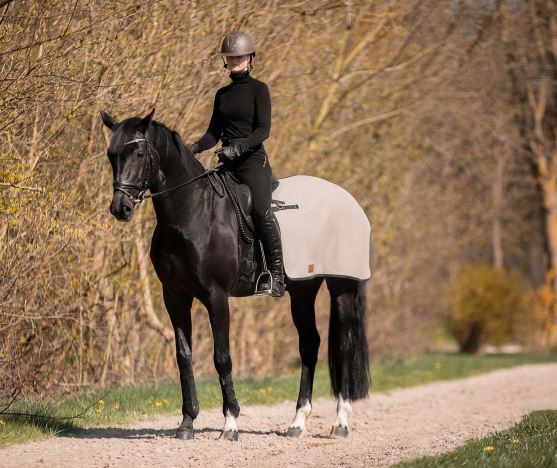 Nierendecke "Iserbrook"