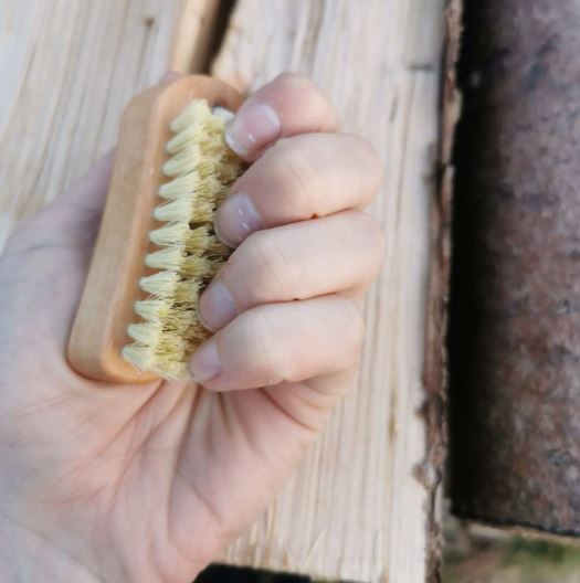 Huf- und Handwaschbürste