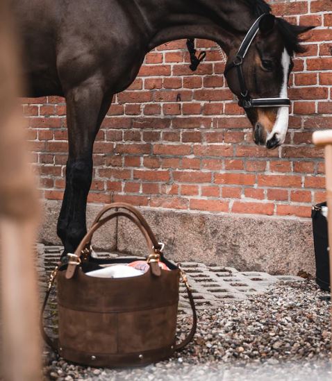 Putztasche