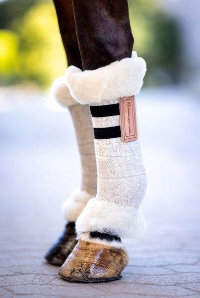 Healthy Wool